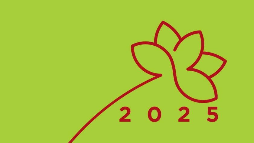 Sách Tết 2025: Rộn ràng những giai phẩm mùa xuân