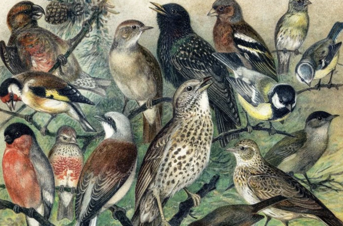 đấu giá kinh thánh ảnh 11 dau gia kinh thanh anh 11