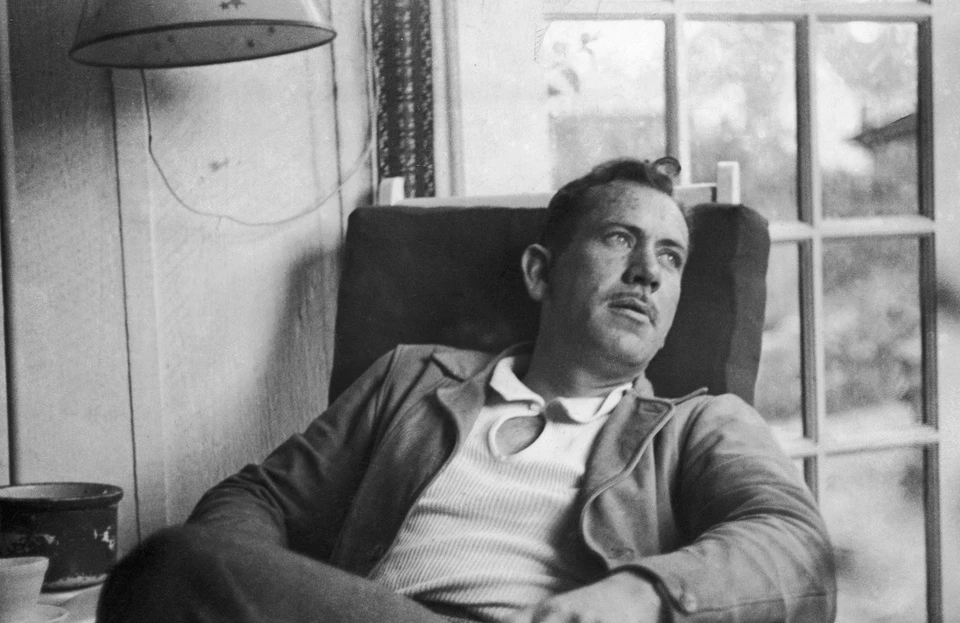 Nhà văn từng làm gì ảnh 6 Nha van tung lam gi anh 6