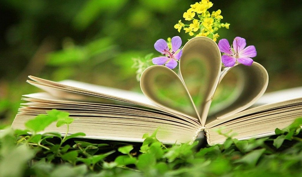 CHẤT LƯỢNG SÁCH XUẤT BẢN TRONG NĂM 2024 ĐÃ CÓ NHIỀU CHUYỂN BIẾN TÍCH CỰC