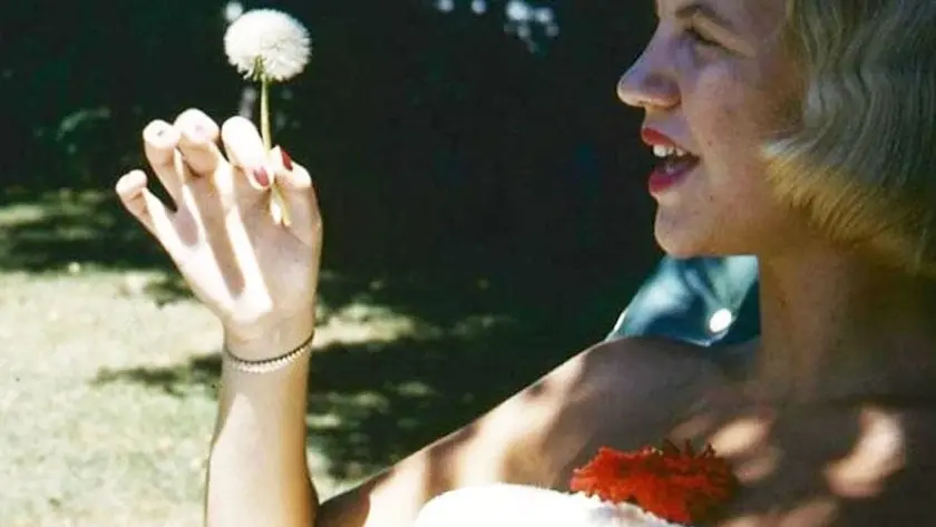 Các nhà văn thư giãn bằng cách nào