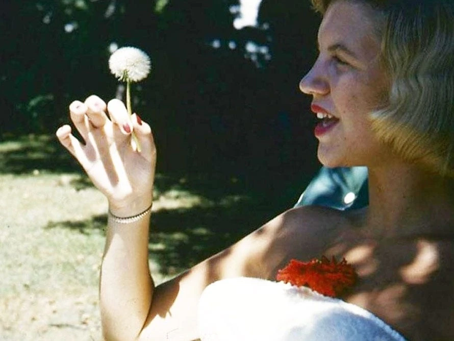 Các nhà văn thư giãn bằng cách nào