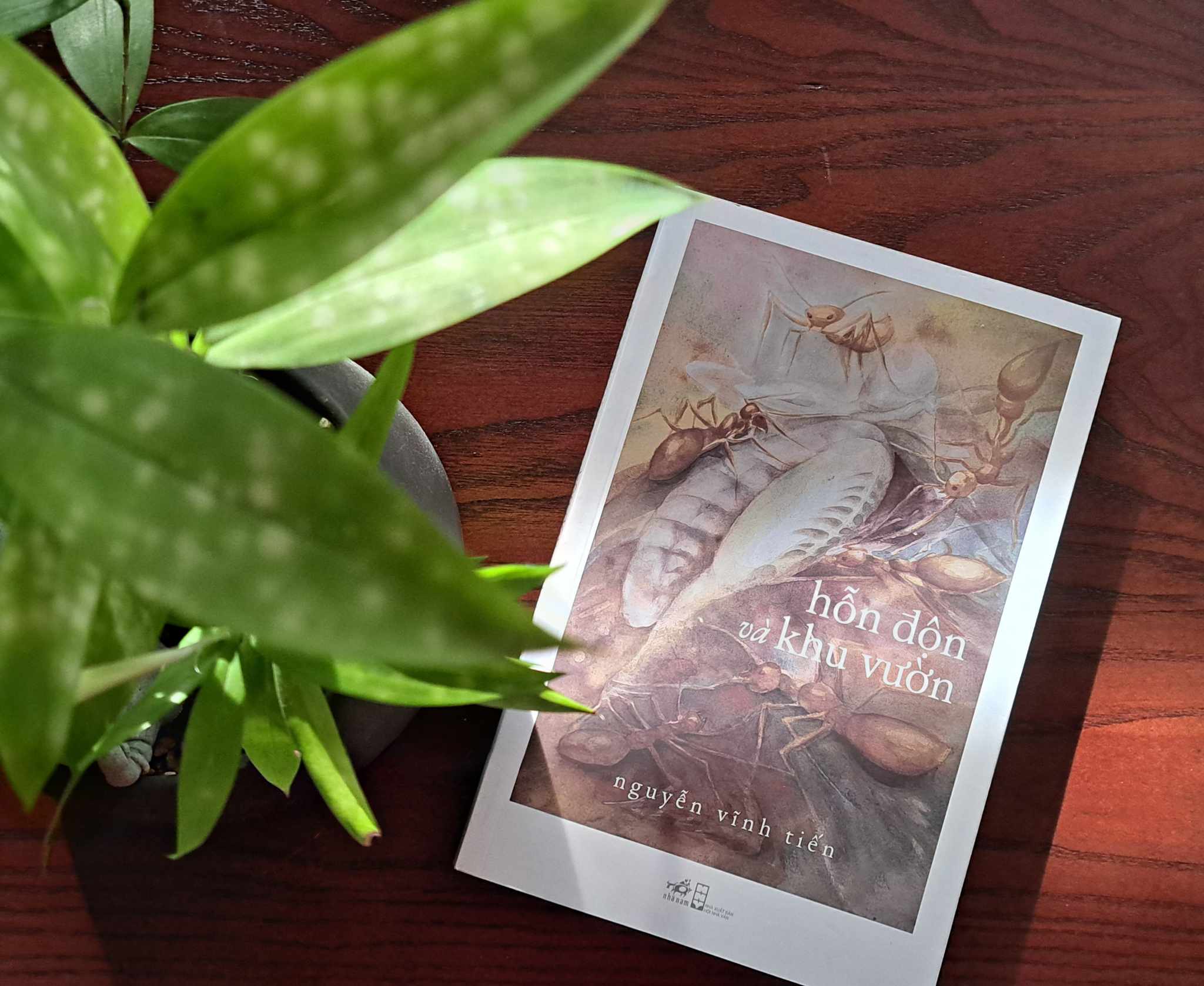 "Hỗn độn và khu vườn" - đánh dấu sự trở lại đường thơ của Nguyễn Vĩnh Tiến