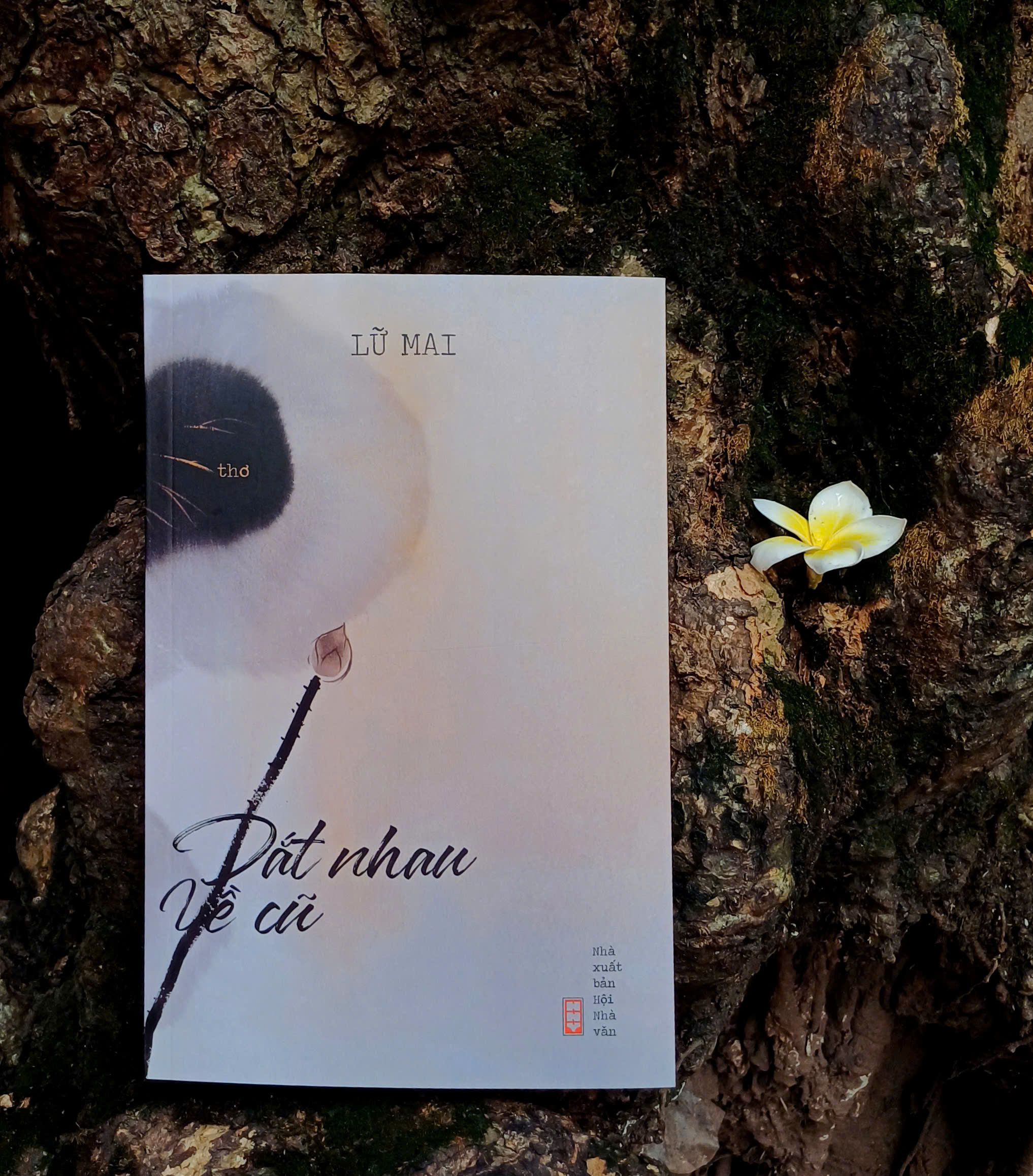 NHÀ THƠ LỮ MAI: THƠ ĐẾN KHI CHÚNG TA ĐỦ LẮNG NGHE, THẤU CẢM