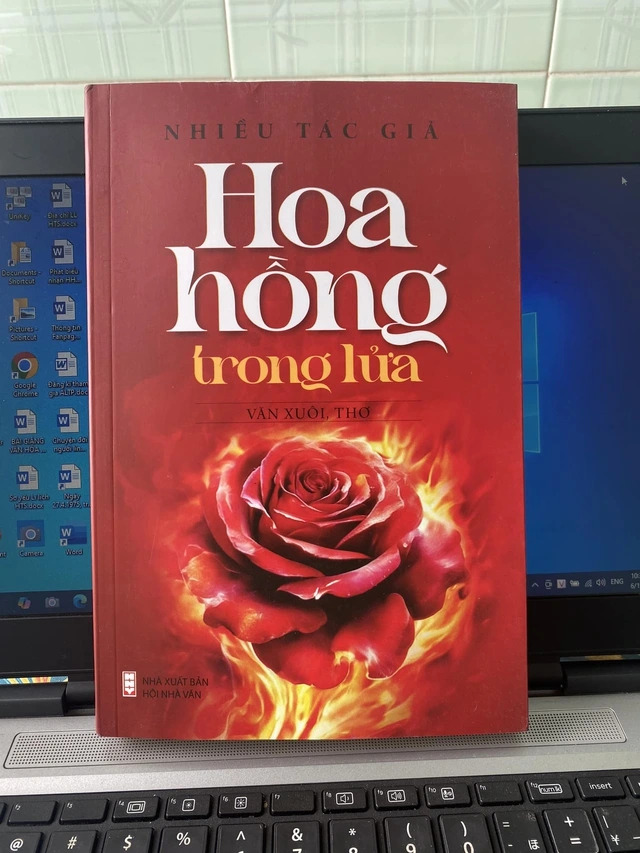 Những bông hồng ra đời trong khói lửa chiến tranh