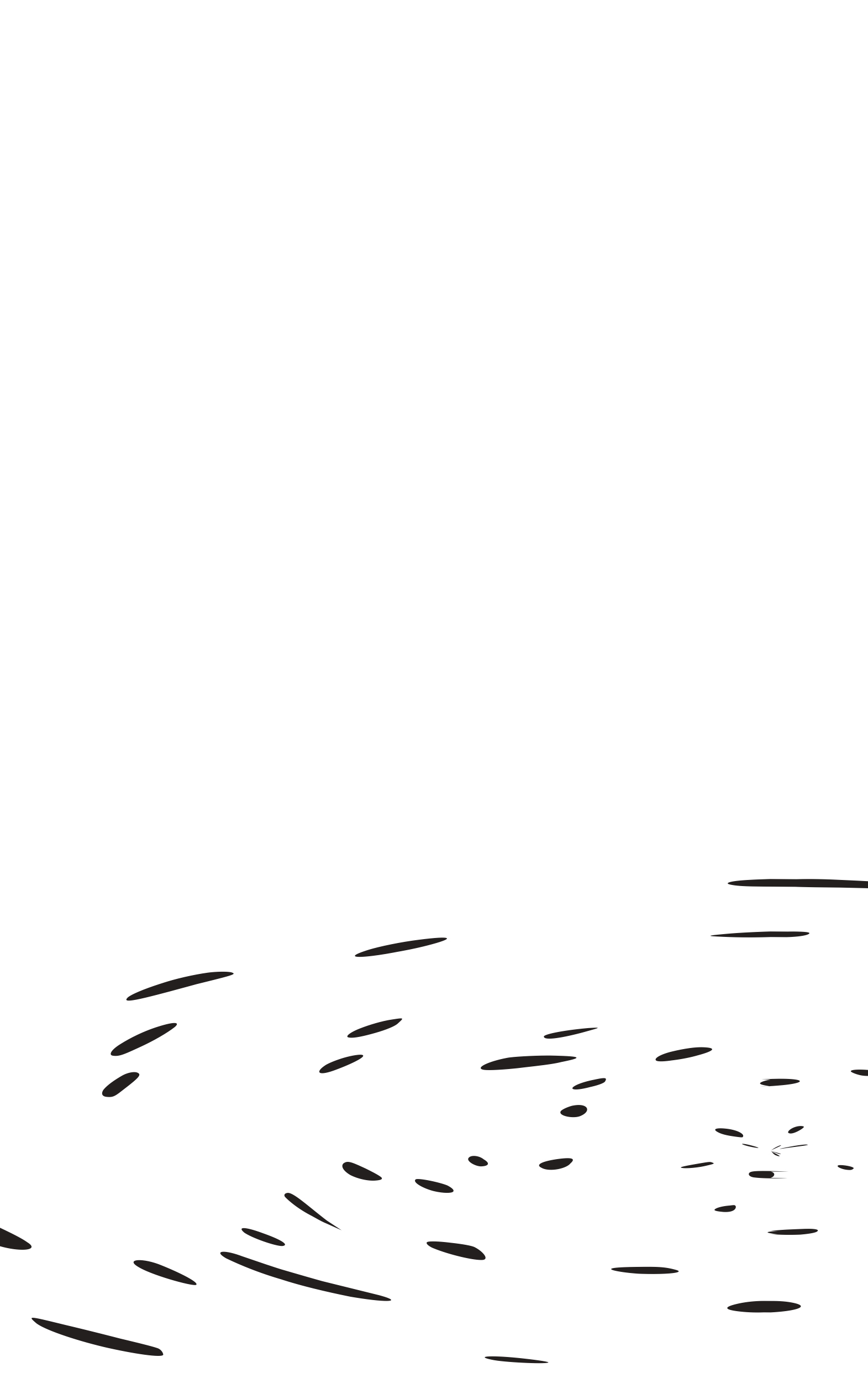 Bản Tình Ca Mê Đắm (Bản điện tử) - Ảnh 2